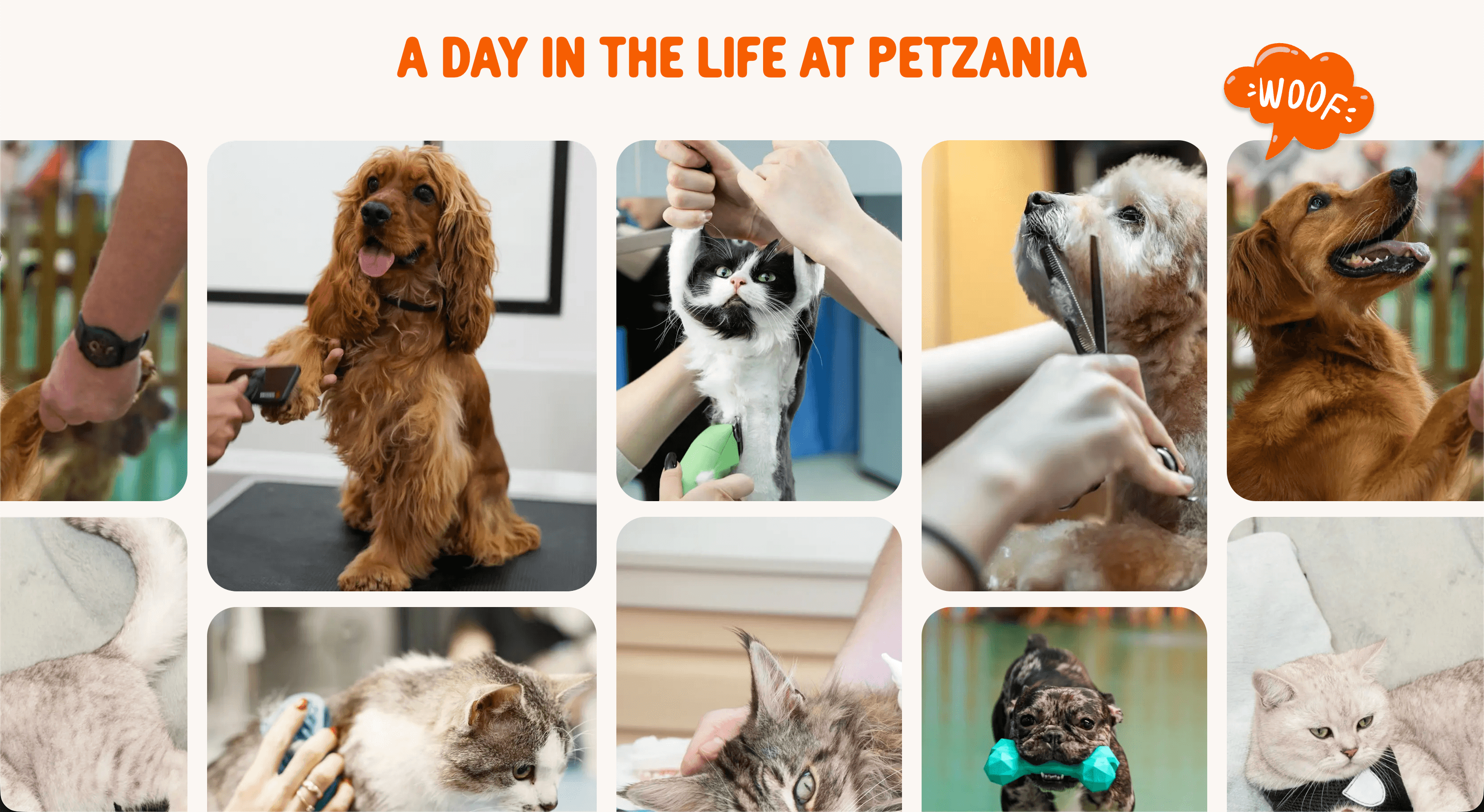 Petzania screenshot 1