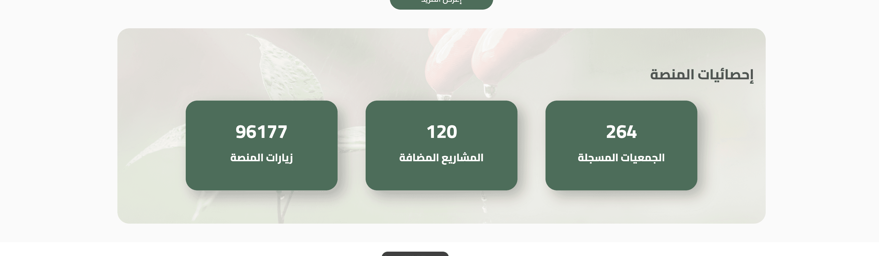 snabl Website screenshot 2